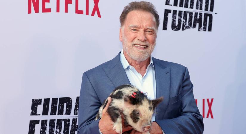 Hogyan lett Arnold Schwarzenegger milliárdos? Ez a tanács segített neki a legtöbbet