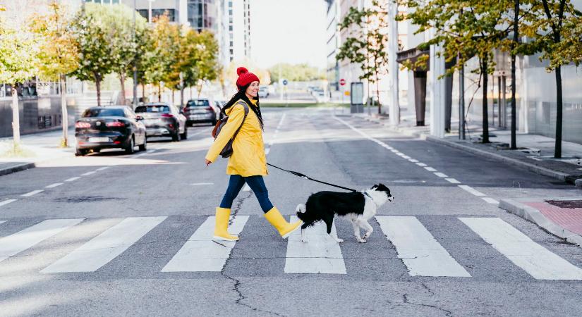 Rendkívüli változás a KRESZ-ben, a gyalogosokat is érinti a példátlan változás