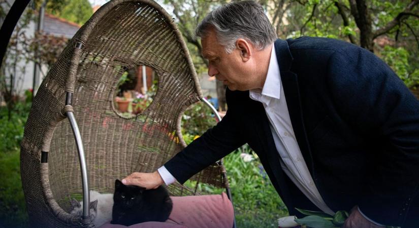 Orbán Viktor egyértelmű üzenetet küldött: szigorodott a törvény, már börtön is kiszabható