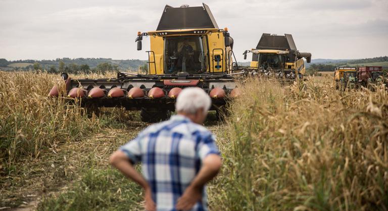 Milliárdok hevernek a földeken – mégis miért küzd versenyhátránnyal a magyar agrárium?
