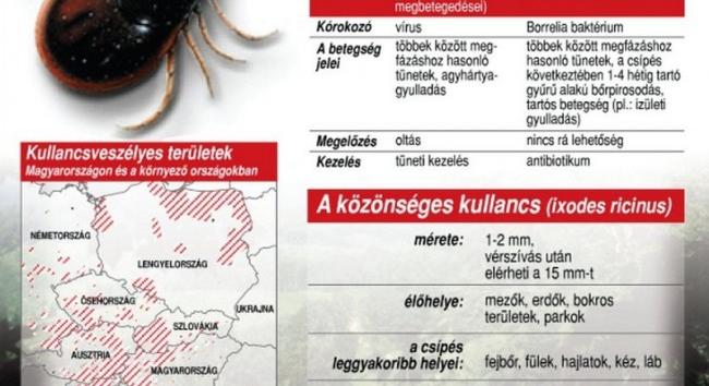 Itt a kullancsszezon - Előzzük meg a kullancscsípést!