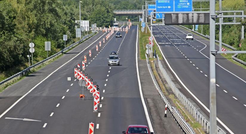 Mindenképpen jelentse, ha látta ezt az élőlényt!