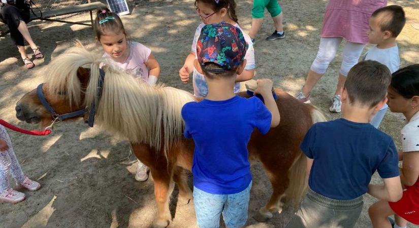 Percek alatt meghalhat a kocsiban!