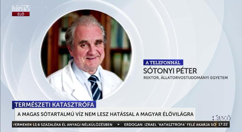 A magas sótartalmú víz nem lesz hatással a hazai ökoszisztémára  videó
