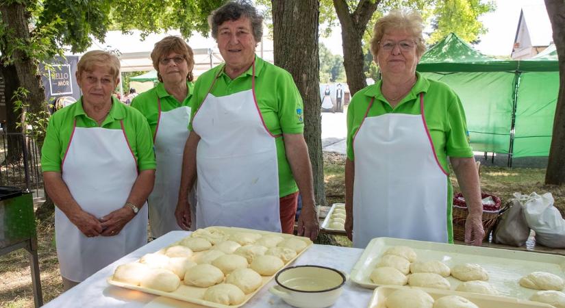 Hihetetlen összefogás Pusztavámon – továbbra is segíthetsz Viviennek!