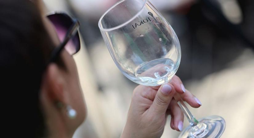 Tokaj ismét leckét adott a világnak – 27 szív együtt dobbanását rejti az új bor  fotók, videó