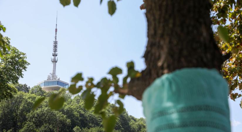Először történt ilyen Miskolcon, de a sikerre való tekintettel jön a folytatás is!  fotók, videó