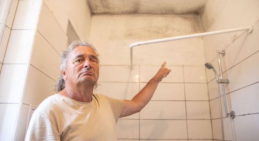 Együtt küzdünk a penész ellen - Jó, ha van valaki, aki segít, ha elakad az ember