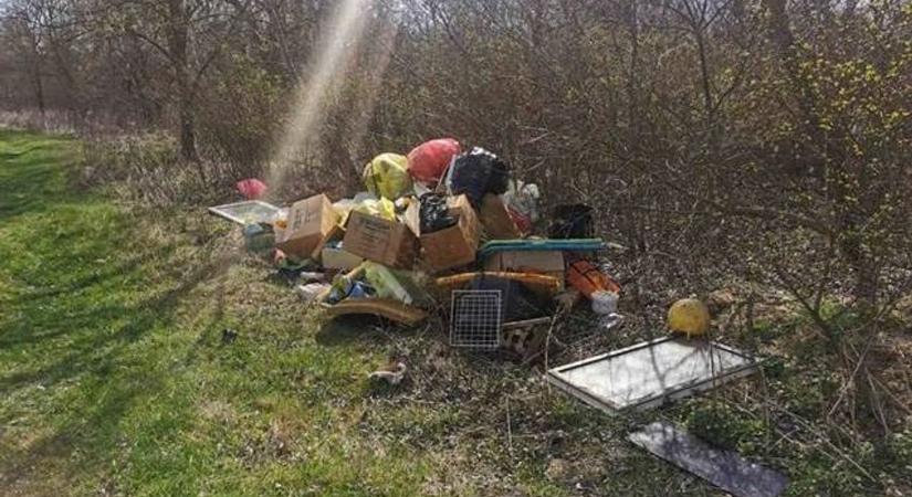 Szemétlerakásért elkobozzák a vagyonukat?
