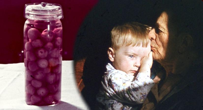 Íme a nagyi tökéletes cseresznye befőttje: tuti tippek, nem csak kezdőknek