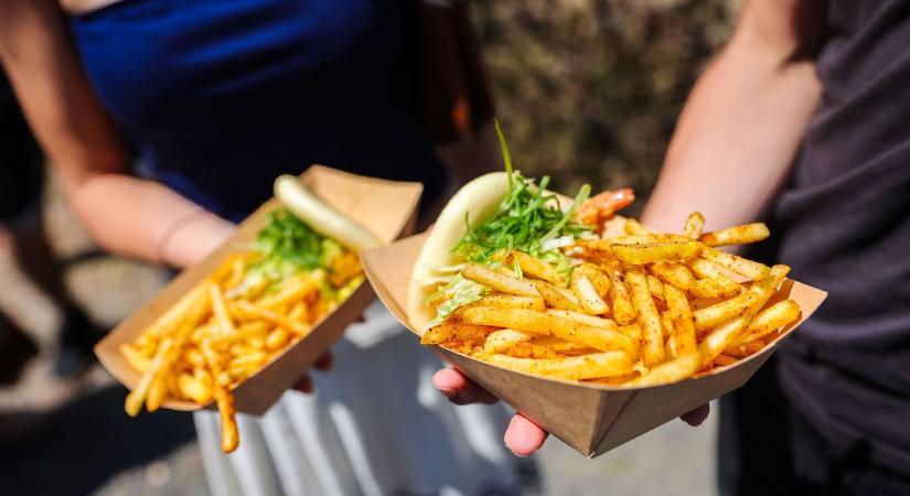 Osztriga és libamájas burger - Gasztro kalandok az Art Pikniken - fotók