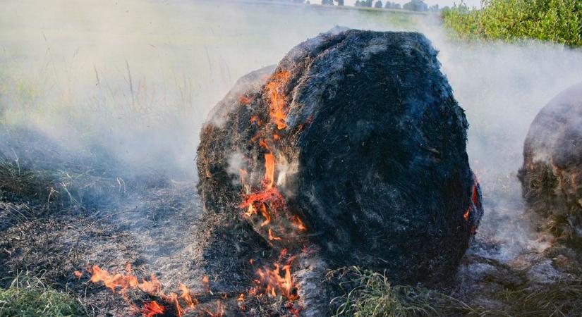 Percek alatt elharapózott a tűz – hatalmas lángok pusztítottak Szajol határában