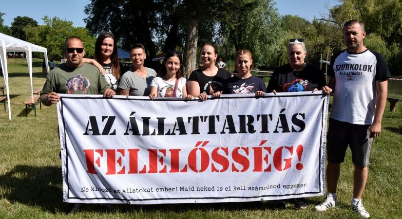 Állatvédő szervezetek fogtak össze: a mosonmagyaróvári Bicóhoz várták az érdeklődőket – fotók