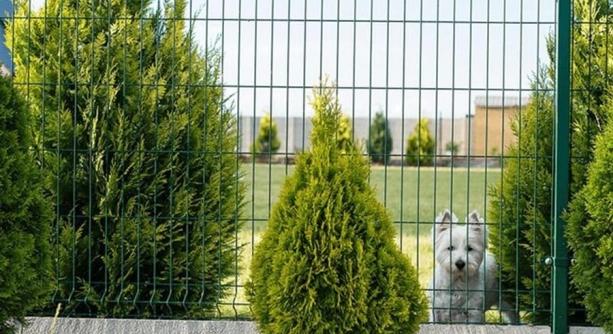 Megbízható védelem minden élethelyzetben: ilyen a jó kerítés