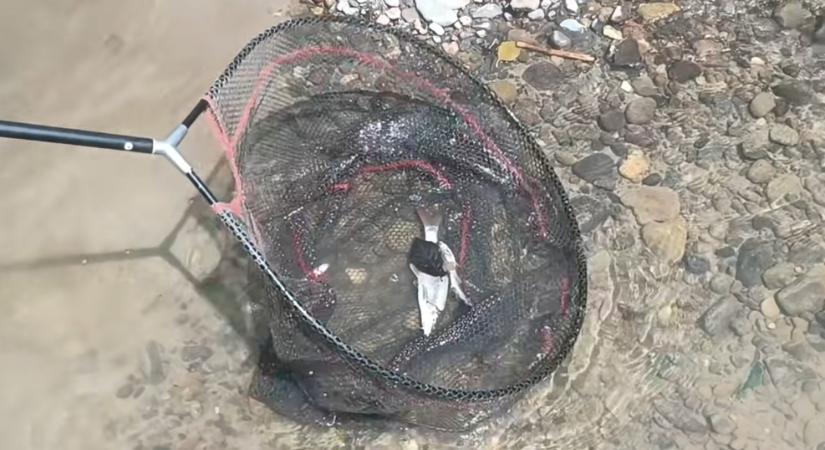 „Szalonnát lehet benne tartosítani, annyira sós a Kis-Küküllő” – Ökológiai katasztrófa Erdélyben
