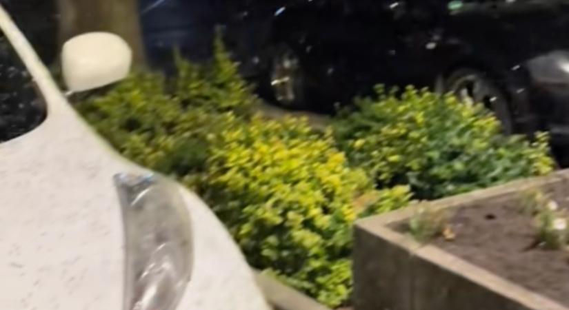 Horror videó: sokan nem mernek a Balatonra menni, a szúnyograjzás miatt