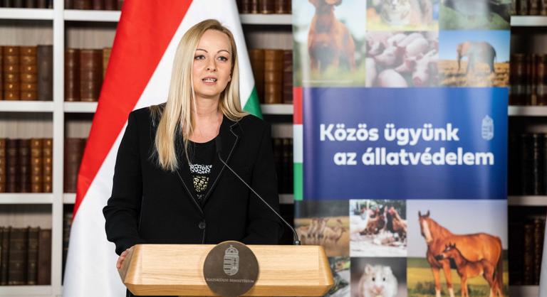 Az új törvény üzenete: az állatkínzás és a felelőtlen állattartás nem bocsánatos bűn