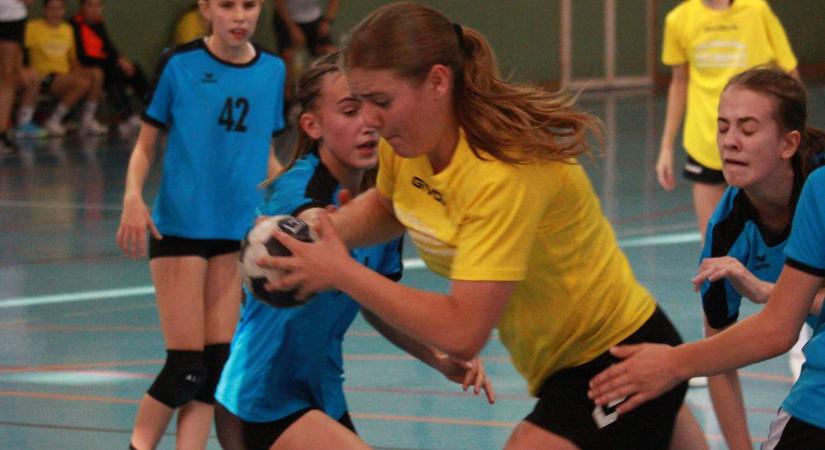 Gyöngyösi arany és bronz a diákolimpián