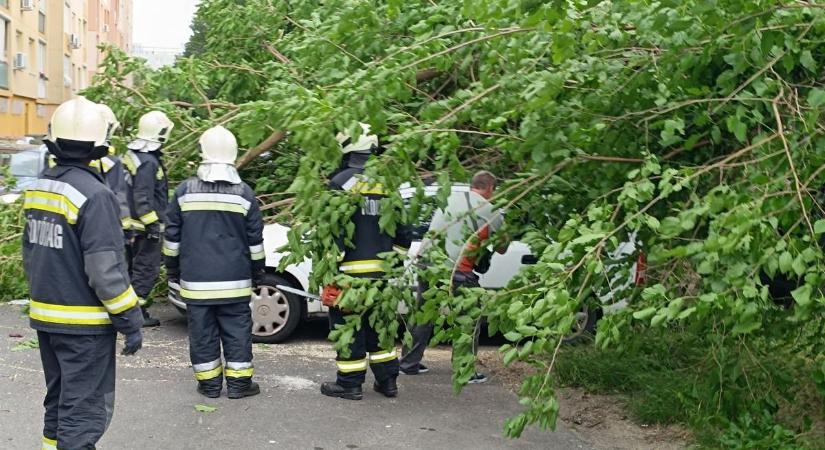 Vihartól a fesztiválig, gyorshajtástól a búcsúig