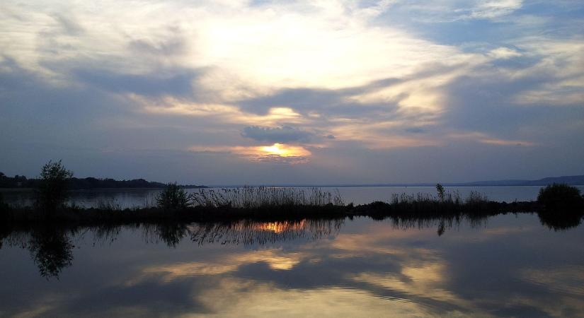 Látványos árvaszúnyog-rajzás a Balatonnál