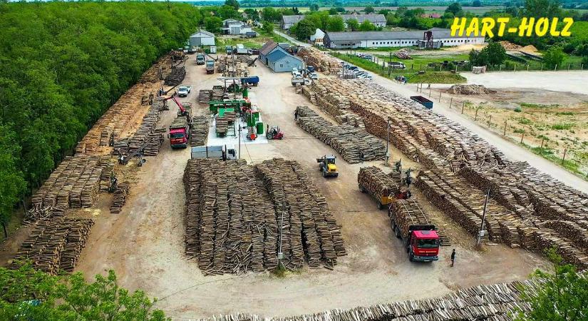 Hart-Holz Kft. – Több mint 25 éve a tűzifa megbízható forrása Győrben is