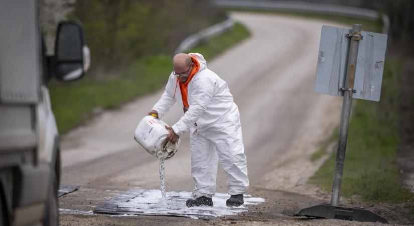 Hiányosan érkezik a támogatás, az érintett öt telep még nem kapta meg a pénzt a ragadós száj- és körömfájás miatt leölt állatokért