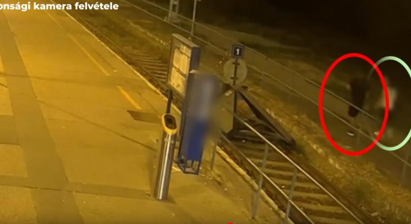 Két nőt megpróbált megerőszakolni, kettőt kirabolt, 24 évre ítélték