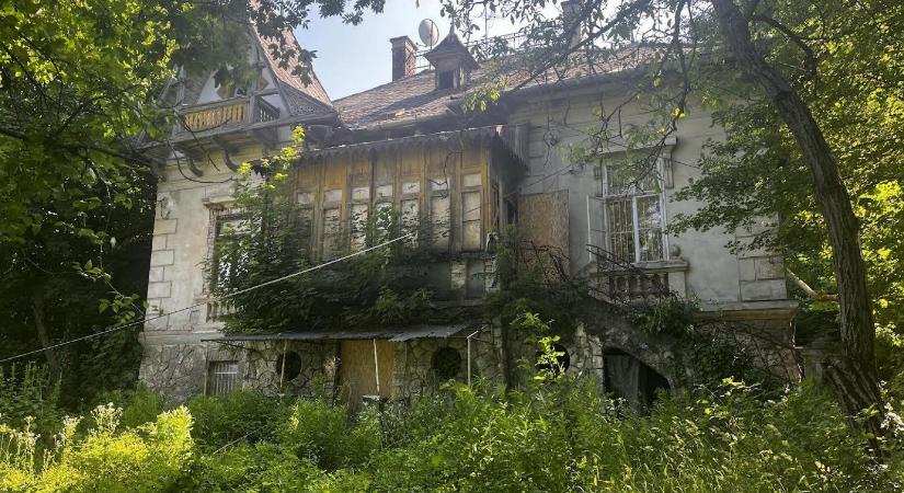 Hadházy Ákos a Svábhegy egyik rejtett utcájában, egy 3500 négyzetméteres erdős telek közepén találta meg Matolcsy Ádám feleségének hivatalos lakhelyét