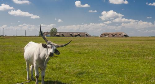 AM-államtitkár: A gazdák 91 százaléka már megkapta az Agro-ökológiai Programban igényelt támogatást