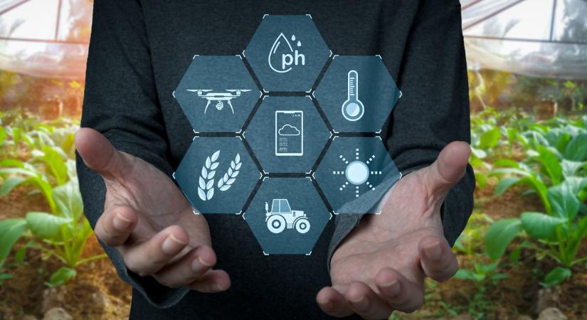 Az mesterséges intelligencia a környezetvédelem új barátja? Sokkoló felfedezést tettek vele