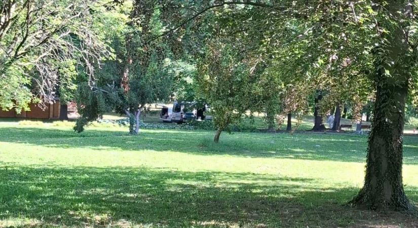 Majdnem megerőszakoltak egy tinédzsert, elképesztő dolog mentette meg - videó