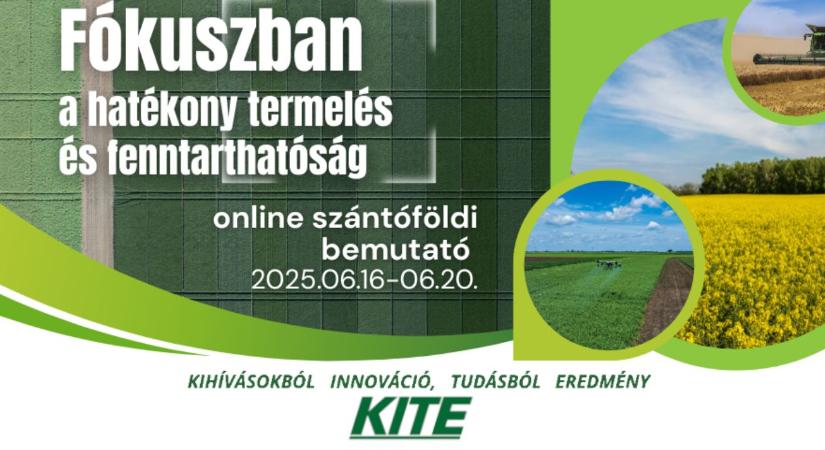 Stratégia, innováció és fenntarthatóság – a KITE vezetői egy asztalnál