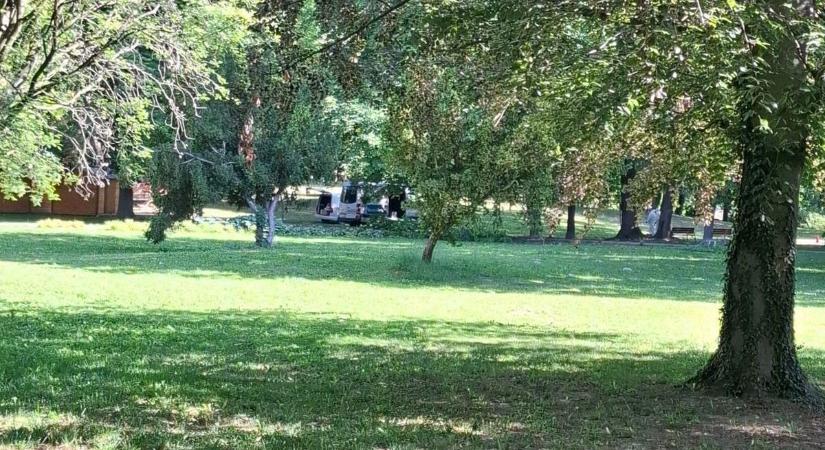 Így védte meg magát a tinédzser, akit egy felnőtt férfi akart megerőszakolni a szomszéd vármegyében