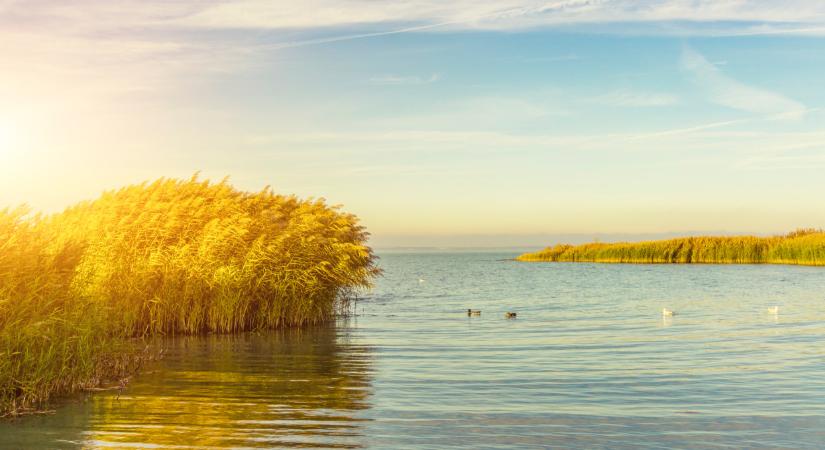 Eldurvulhat a helyzet a Balatonnál: ijesztő, ami a tóval történik
