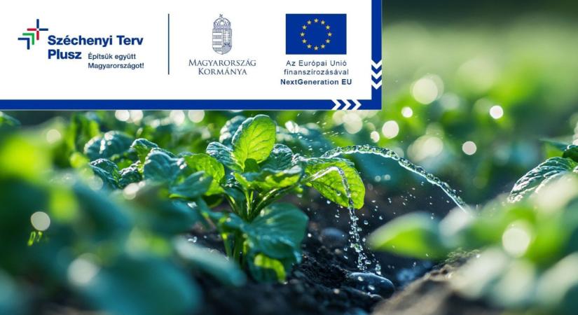 Víztakarékos öntözési megoldások? Megéri váltani, itt vannak hozzá a támogatások!