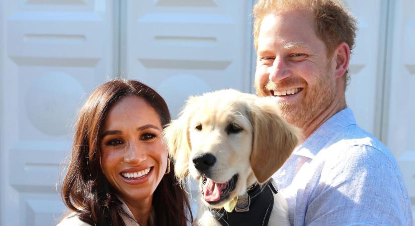 Meghan Markle meglepő videót közölt Harry hercegről, nyilvánosan üzent neki