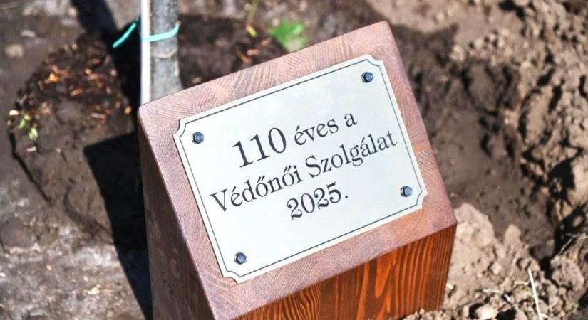 Emlékfát ültettek a védőnői hivatás 110 éves jubileuma alkalmából Szolnokon