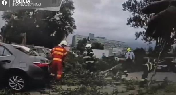 Fák dőltek az autókra Pozsonyban