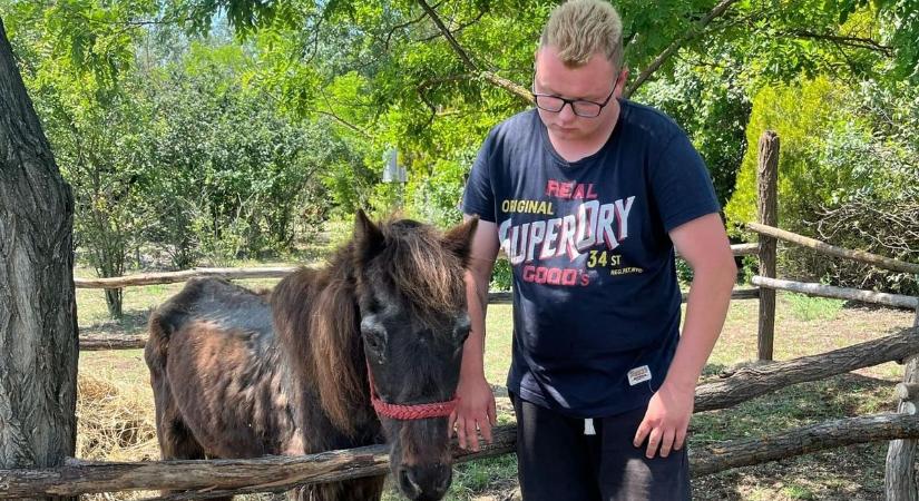 Búcsúzik Harcos a bátor lovacska – A szamárfarm legnehezebb sorsú lakójának története