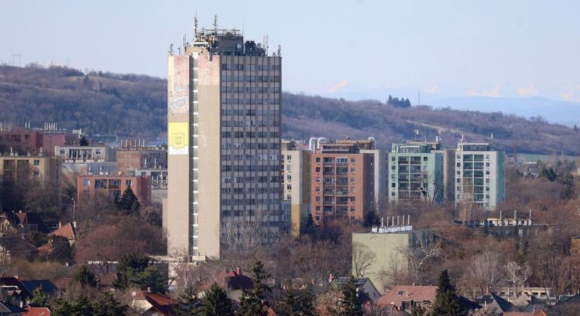 Engedély nélküli költöznek be, mindenki retteg tőlük – csak a baj van ezekkel a hangos „albérlőkkel”