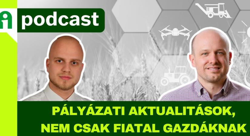 2025. év pályázati aktualitásai – útvesztők helyett stratégia