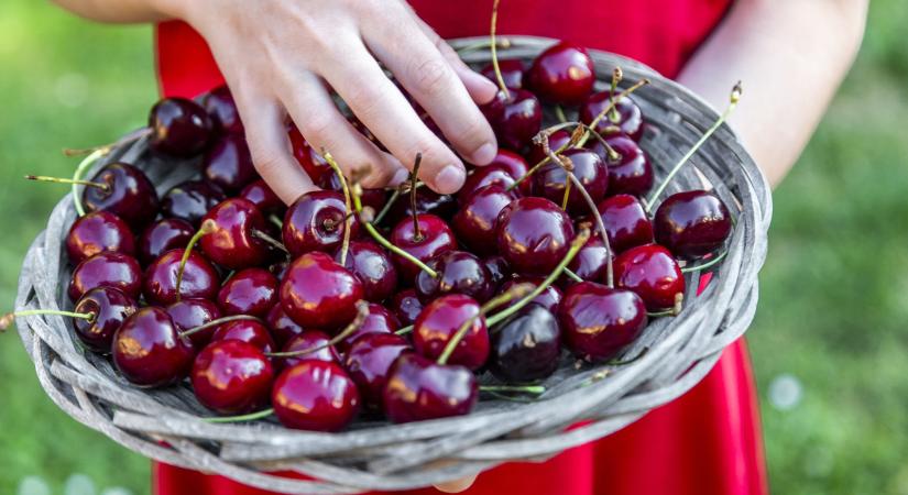 Így hozd ki a legtöbbet a cseresznyéből – 3 szuper recept