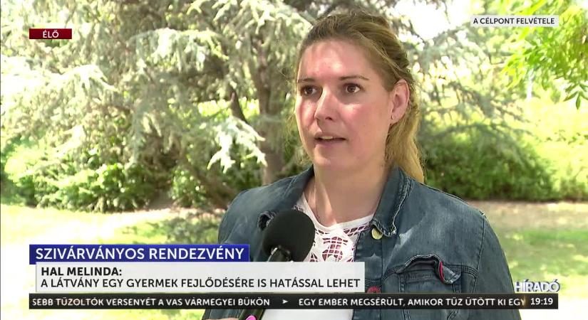A főpolgármester nemcsak Bécsben, hanem közösségi oldalán is a budapesti szivárványos parádéra invitál  videó