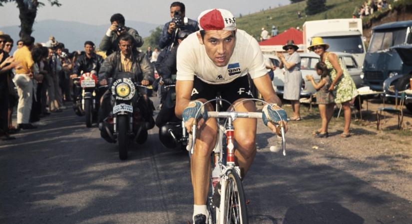 „Több pofont nyeltem, mint ételt” – 80 éves a kerékpársport Kannibálja, Eddie Merckx
