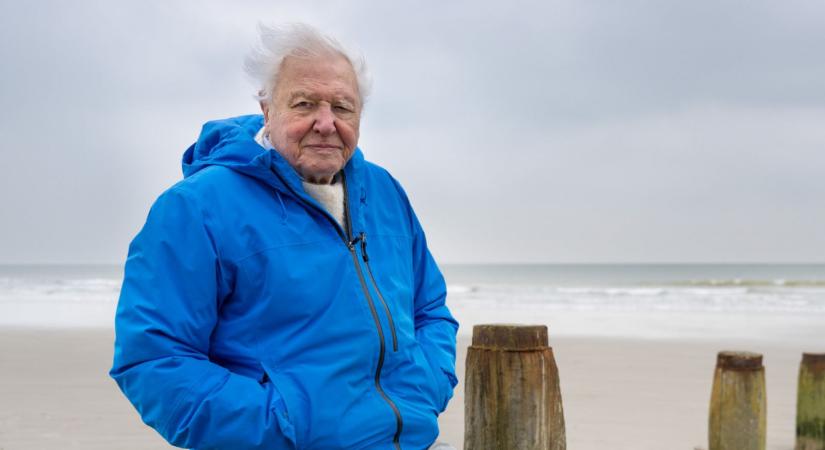 David Attenborough 99 évesen optimista fordulatot vett: új könyve szerint még nincs minden veszve