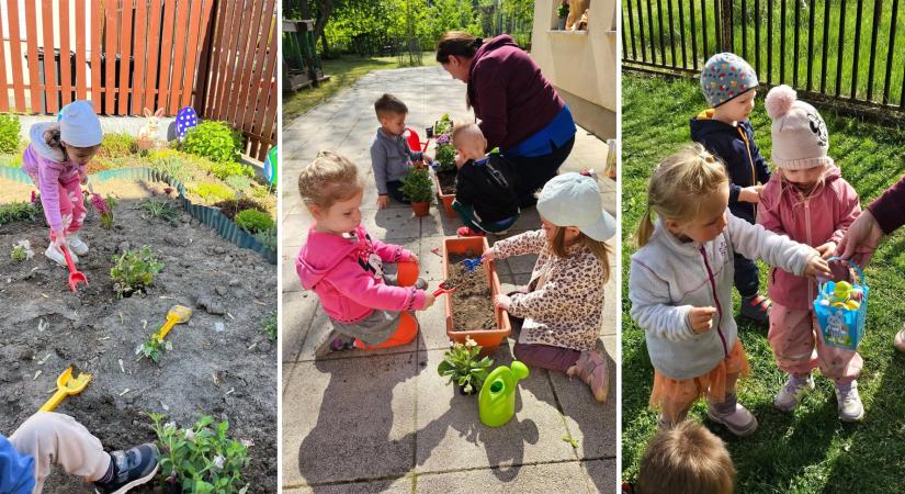 Mozgalmasan telt a tavasz a dorogi bölcsődében