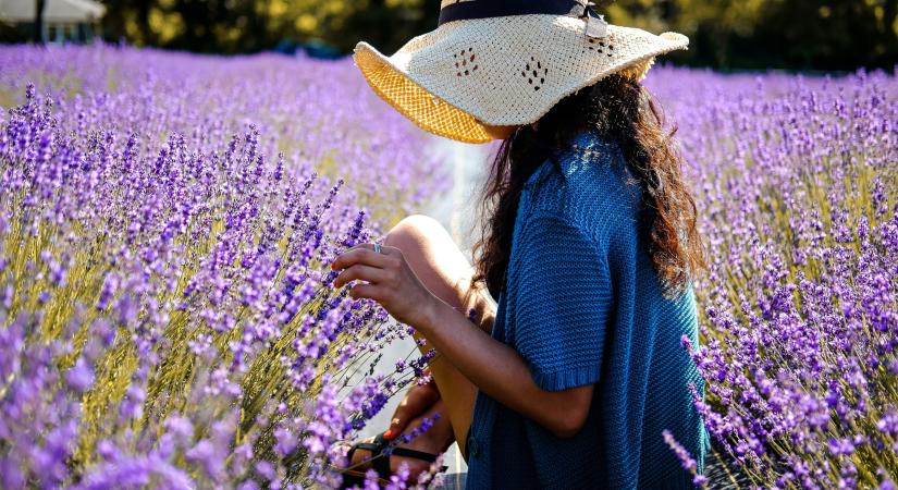 Séta a levendulamezőn: így hat a lila szín a mentális egészségedre