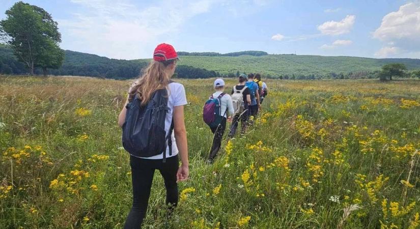Egy életre szóló kalandra, „túlélő táborra” várják a gyerekeket Létrás-tetőn