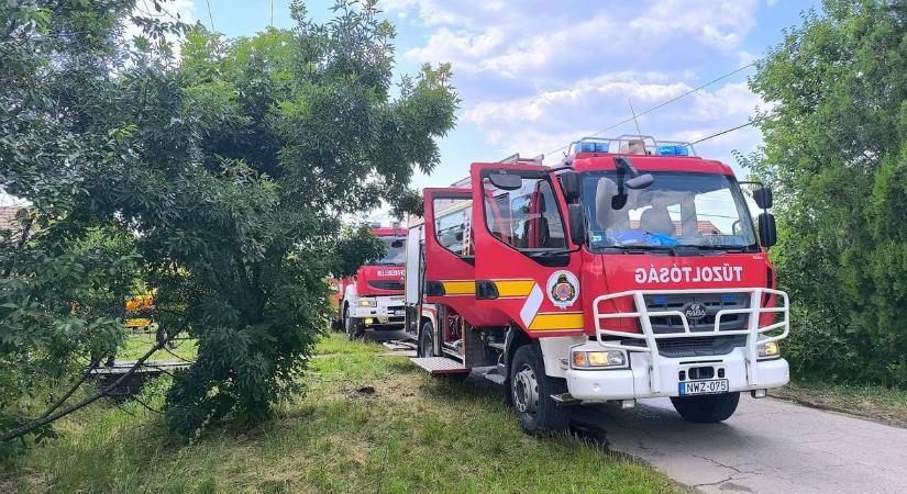 Tűzesetekhez és leszakadt faágakhoz is vonulniuk kellett az egységeknek