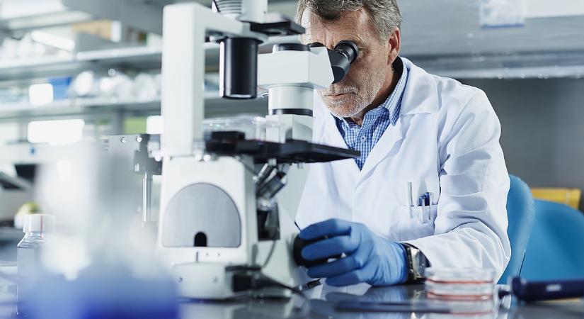 Professzorok küldtek jelzést: ez nem maradhat így a magyar egészségügyben